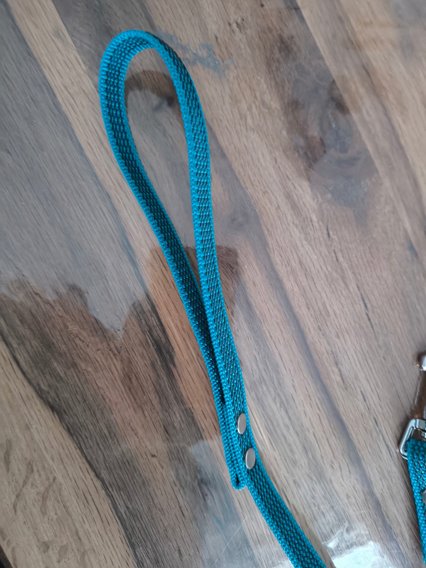 Hausleine Türkis 1 Meter