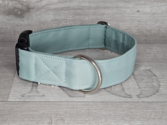 Hundehalsband Mint Power mit einem Halsumfang von 35-58 cm